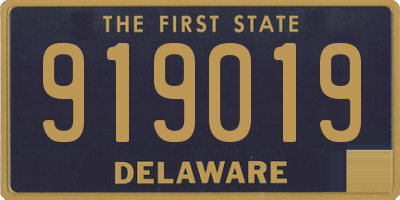 DE license plate 919019