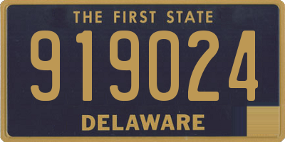 DE license plate 919024