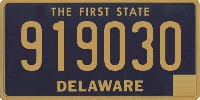DE license plate 919030