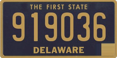 DE license plate 919036