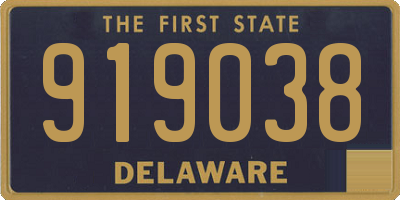 DE license plate 919038