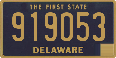 DE license plate 919053