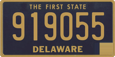 DE license plate 919055