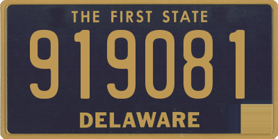 DE license plate 919081