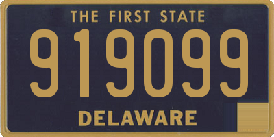 DE license plate 919099