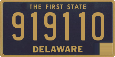 DE license plate 919110