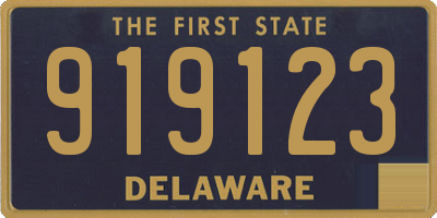 DE license plate 919123