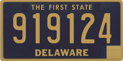 DE license plate 919124