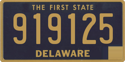 DE license plate 919125