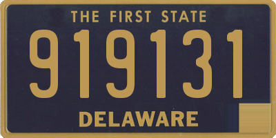 DE license plate 919131
