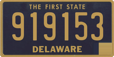 DE license plate 919153