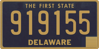 DE license plate 919155