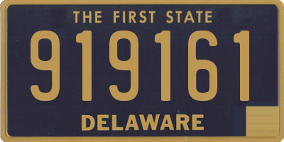 DE license plate 919161
