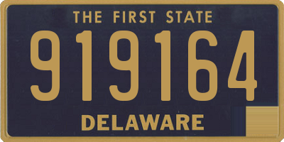 DE license plate 919164