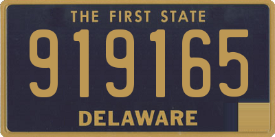 DE license plate 919165