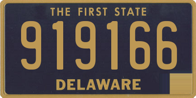 DE license plate 919166
