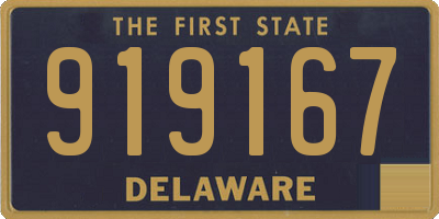 DE license plate 919167