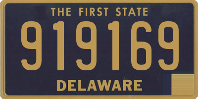 DE license plate 919169