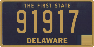 DE license plate 91917