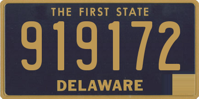 DE license plate 919172