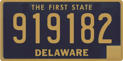 DE license plate 919182