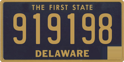 DE license plate 919198