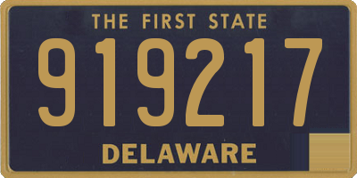 DE license plate 919217
