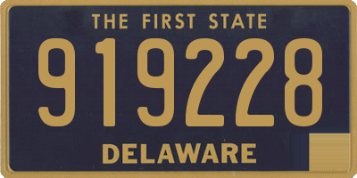 DE license plate 919228