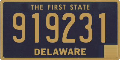 DE license plate 919231