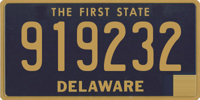 DE license plate 919232