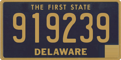 DE license plate 919239