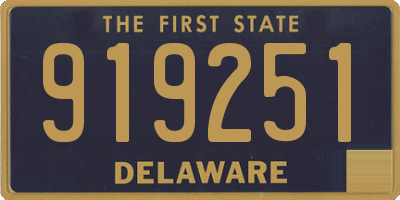 DE license plate 919251