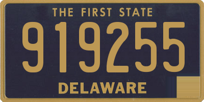 DE license plate 919255