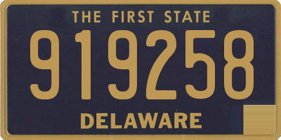 DE license plate 919258