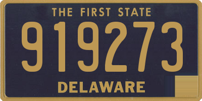 DE license plate 919273