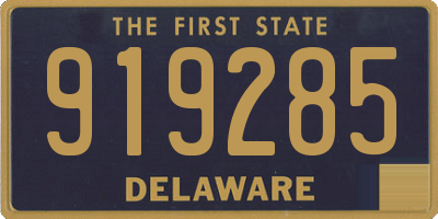 DE license plate 919285