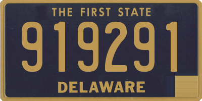 DE license plate 919291