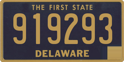 DE license plate 919293