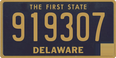 DE license plate 919307