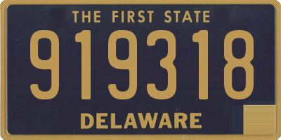 DE license plate 919318