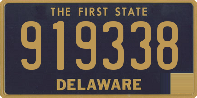 DE license plate 919338