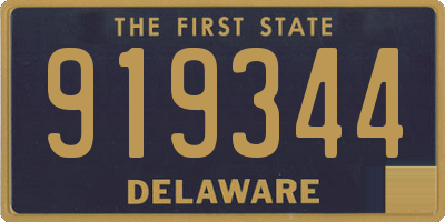 DE license plate 919344