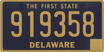 DE license plate 919358