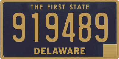 DE license plate 919489