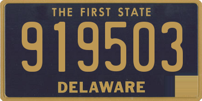 DE license plate 919503
