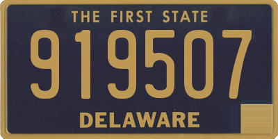 DE license plate 919507