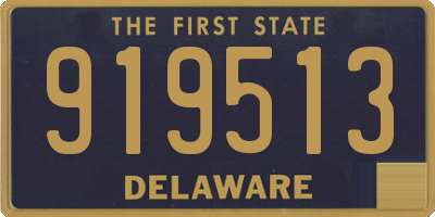 DE license plate 919513