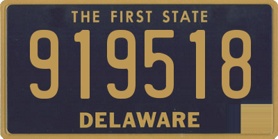 DE license plate 919518
