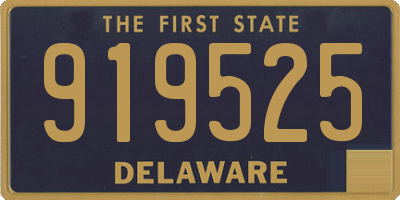 DE license plate 919525