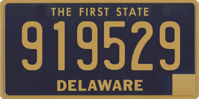 DE license plate 919529